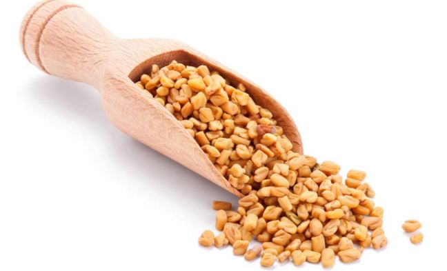 Fenugreek seeds are good for hair growth