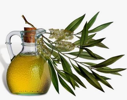 Tea tree oil remedy for ingrown hair