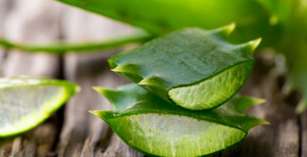 Aloe vera gel treatment for infected cysts