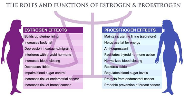 Estrogen Pills For Weight Loss