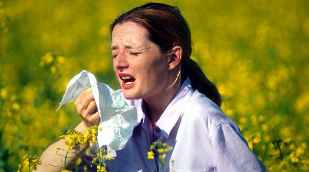 scabs-in-nose-from-hay-fever-and-allergies