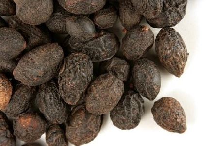 Dried saw palmetto berries