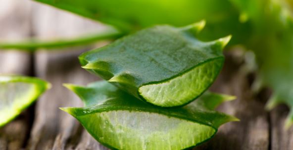 Aloe vera gel