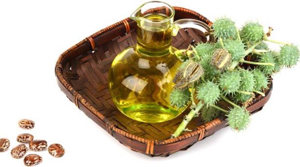 Castor oil remedy for stretch marks