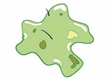 Coughing up green mucus