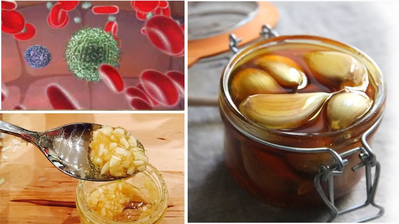 How to boost immunity with garlic and honey